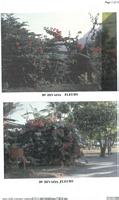 divers1989_11.jpg