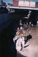 ligne90_47.jpg